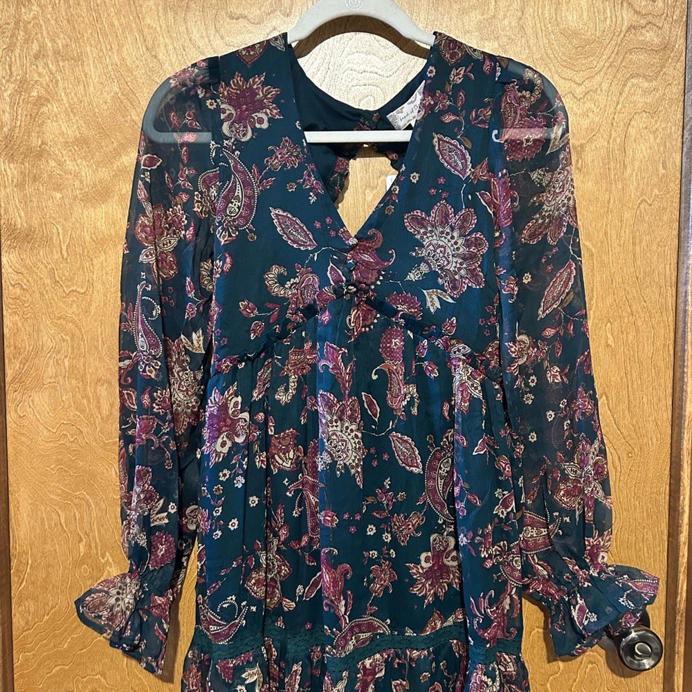 Band of the Free Run the World Pine Paisley Empire Waist Midi Dress - Size XS - Picture 9 of 13